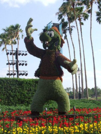 Eco Goofy